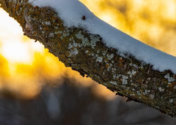 ksepernoun-ekato-ekatomuria-apozhmiwseis