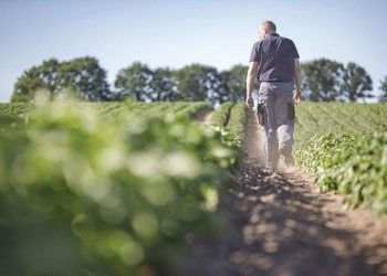 odhgies-mela-gia-eksetash-enstasewn