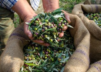 yp-oikonomikwn-egkrish-gia-koronoenisxush-elias