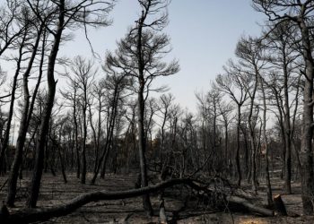 Αντιπυρικά έργα ύψους 50 εκ. ευρώ από το Ταμείο Ανάκαμψης
