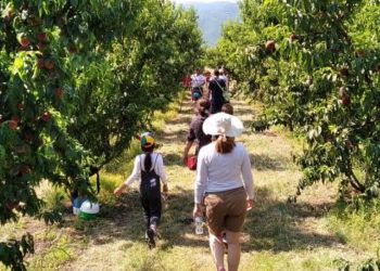 Ζαχαράκη:17 εκατ. ευρώ για την προώθηση του γαστρο-αγροτουρισμού