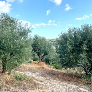 deuterh-eukairia-gia-enstaseis-aithsewn