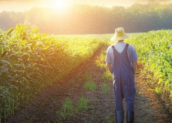 sunexizetai-h-orizontia-sthriksh-sto-agrotiko-reuma