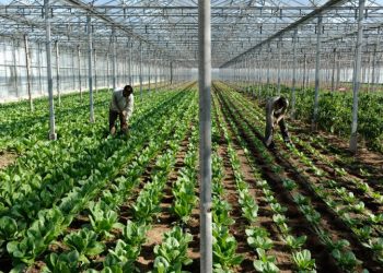 ypaat-entatikopoihsh-elegxwn-kai-programmata