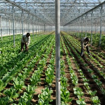 ypaat-entatikopoihsh-elegxwn-kai-programmata