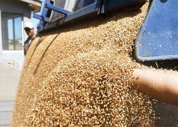 Κατατέθηκε τροπολογία για υποχρεωτική δήλωση αποθεμάτων σε αγροτικά εφόδια και δημητριακά από επιχειρήσεις του κλάδου