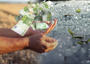 ΕΛΓΑ: Ξεκίνησαν οι αιτήσεις για αποζημιώσεις από τις θεομηνίες του 2019