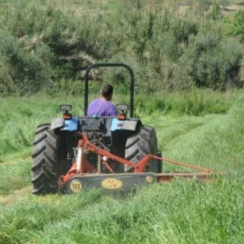 dothike-paratash-sthn-plhrwmh-elga