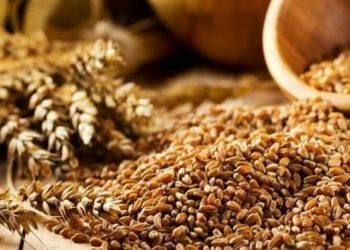 sithra-oi-problepseis-gia-thn-pagkosmia-agora