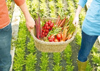 Το ΕΚΠΑ στηρίζει τον αγροδιατροφικό τομέα