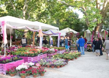 Μέχρι την Πέμπτη οι αιτήσεις για 58 προσλήψεις στην Ανθοκομική Έκθεση Κηφισιάς