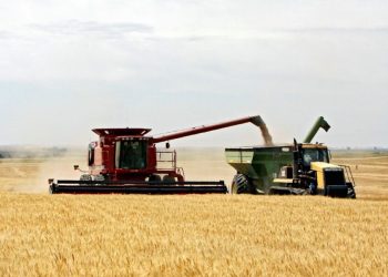 Αυτά είναι τα αποθέματα της Ελλάδας σε πρώτες ύλες και δημητριακά