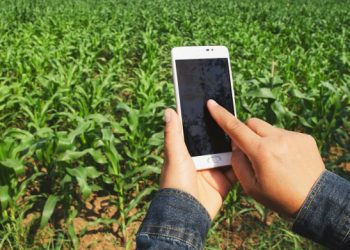 Έρευνα: Τι αναζητούν οι αγρότες στις ψηφιακές υπηρεσίες του ΥπΑΑΤ