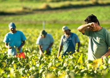 kathusteroun-oi-aithseis-gia-metaklhtous-ergates-ghs