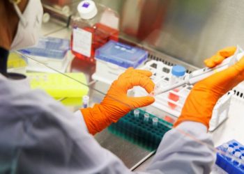 Λινού: Απίθανο να μην εμφανιστεί και στην Ελλάδα η ευλογιά των πιθήκων