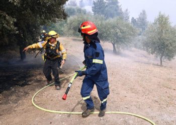 Ξεκινάει η εκπαίδευση 500 δασοκομάντος