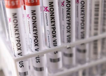 Ευλογιά των πιθήκων: Kρούσματα σε 12 χώρες – Φόβοι για τη μετάδοση το καλοκαίρι και συστάσεις στην ΕΕ για νέο εμβόλιο