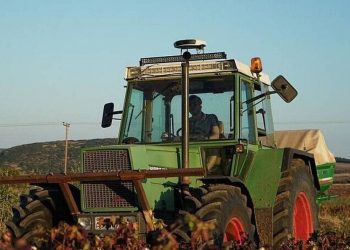 ΟΠΕΚΕΠΕ: Ευχάριστα νέα για τους αγρότες – Άμεσες επιδοτήσεις μέσω gov.gr