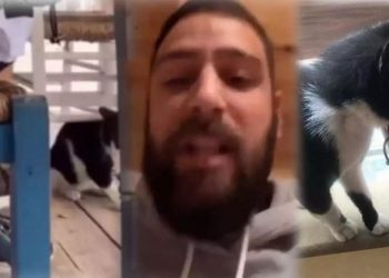 Στον εισαγγελέα ο 30χρονος που κλώτσησε το γατάκι-Είναι σεσημασμένος για ναρκωτικά