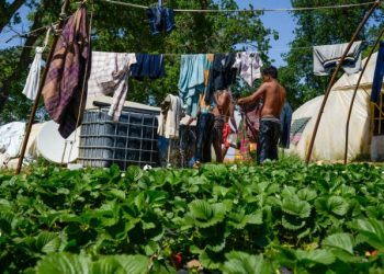 Μαζική φυγή εργατών γης από την Ελλάδα