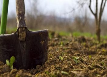 Έκθεση ΓΣΕΕ: «Σε παραγωγικό μαρασμό η χώρα»