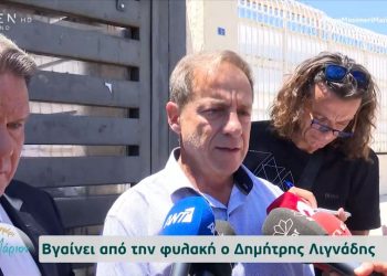 Αποφυλακίστηκε ο Λιγνάδης, αντιδράσεις από το ΚΘΒΕ και ΣΕΗ