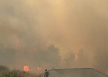 Φωτιά-Μέγαρα: Έφτασαν στα πρώτα σπίτια στον οικισμό Ζάχουλη οι φλόγες (VIDEO)