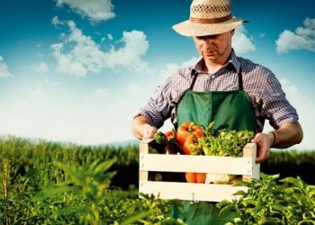 Πρόγραμμα κατάρτισης και πιστοποίησης εργαζομένων ιδιωτικού τομέα στην αλυσίδα αξίας ποιοτικών προϊόντων αγροδιατροφής