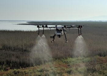 Έκτακτοι ψεκασμοί για τα κουνούπια στους ορυζώνες Θεσσαλονίκης και Ημαθίας