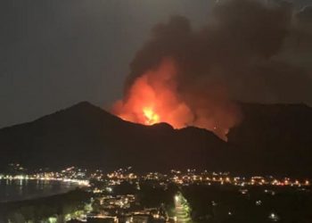 Αστεροσκοπείο Αθηνών: Η πυρκαγιά στη Θάσο έκαψε 2.770 στρέμματα – Το 84% ήταν δάσος