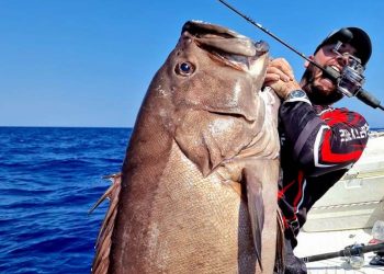 Απίστευτη ψαριά στα Χανιά: Έπιασε βλαχοσφυρίδα 40 κιλών (VIDEO)