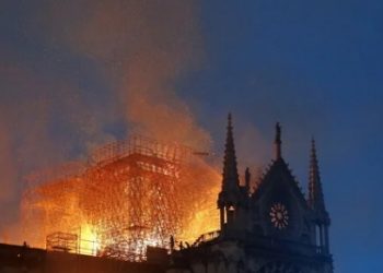 Απίστευτο: Ξυλουργοί ξαναχτίζουν την Παναγία των Παρισίων με μεσαιωνικές τεχνικές!