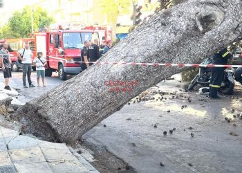 Σκοτώθηκε οδηγός μηχανής που καταπλακώθηκε από δέντρο στο κέντρο του Ηρακλείου!