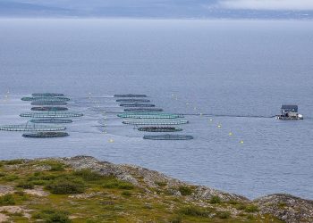 ΥπΑΑΤ: Σε διαβούλευση η ενίσχυση υδατοκαλλιεργειών του Ταμείου Ανάκαμψης