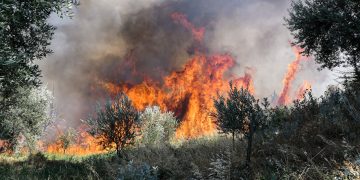 Ταυτοποιήθηκε ο δράστης της φωτιάς στον Άγιο Βασίλειο Βιάννου