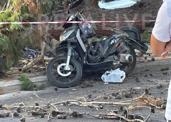 Σκοτώθηκε οδηγός μηχανής που καταπλακώθηκε από δέντρο στο κέντρο του Ηρακλείου!