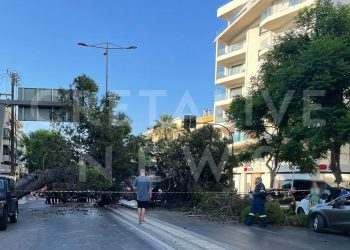 Σκοτώθηκε οδηγός μηχανής που καταπλακώθηκε από δέντρο στο κέντρο του Ηρακλείου!