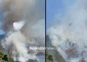 Άγιο Όρος: Ενισχύθηκαν οι δυνάμεις της Πυροσβεστικής – Μάχη με τις φλόγες σε δύσβατη περιοχή (video)