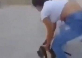 Κρήτη: Πρόστιμο 5.000 ευρώ στη μαθήτρια που κλώτσησε γάτα και το ανέβασε στα social media