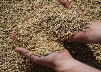 Κλιματική αλλαγή, πολεμικές συρράξεις και οικονομικές κρίσεις, οι κύριοι λόγοι για ευρεία επισιτιστική κρίση