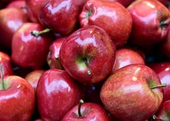 ΥπΑΑΤ: Αποζημιώσεις μηλοκαλλιεργητών – Ποιους αφορά