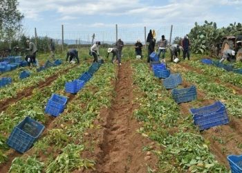 Διαβουλεύσεις EE με 5 κράτη μέλη για τις εισαγωγές αγροτικών προϊόντων από την Ουκρανία