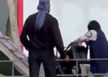 Επίθεση Γαλλία: Η πρώην σύζυγος του υπόπτου για την επίθεση στην παιδική χαρά είπε ότι έφυγε από τη Σουηδία επειδή δεν απέκτησε τη σουηδική υπηκοότητα