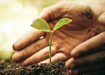 Προσλήψεις ΠΕ Γεωπόνων και ΤΕ Γεωπονίας ως εκπαιδευτικό προσωπικό στις Επαγγελματικές Σχολές