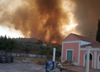 Σπανάκης: Έκτακτα μέτρα ενίσχυσης σε εργαζόμενους και επιχειρήσεις που έχουν πληγεί από τις πυρκαγιές