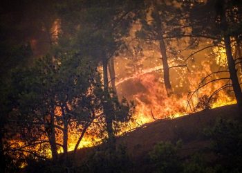 Διπλή τραγωδία στη Μαγνησία: Δύο νεκροί από τη φωτιά!