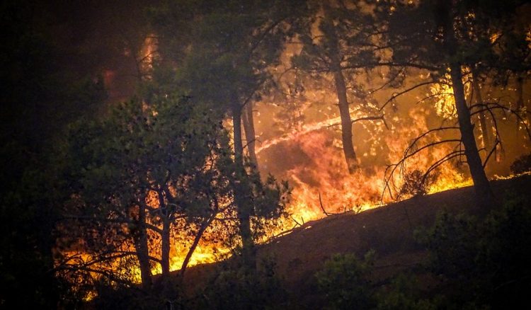 Για τέταρτη μέρα η μεγάλη πυρκαγιά στην Ρόδο, μαίνεται ανεξέλεγκτη, στιγμιότυπα από τις περιοχές Κιοτάρι, Λάρδος, Γλύστρα, Σάββατο 22 Ιουλίου 2023  (ΑΡΓΥΡΗΣ ΜΑΝΤΙΚΟΣ /EUROKINISSI)