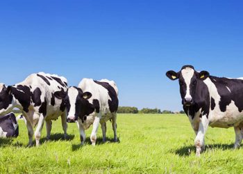 ΑΑΔΕ: Παράταση στην προθεσμία υποβολής του Ε9 έως και 31 Ιουλίου