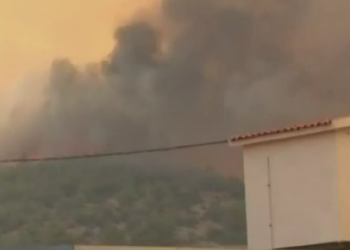 Φωτιά στα Μέγαρα: Κοντά στα σπίτια οι φλόγες -Μήνυμα 112 για εκκένωση στην περιοχή Κανδήλι