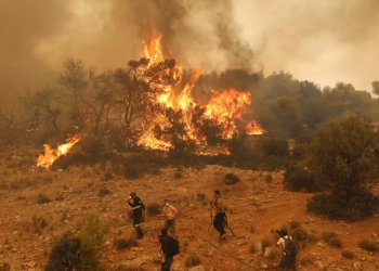 Λέκκας: Δεν μπορούμε να χάσουμε άλλο πράσινο στην Αττική!